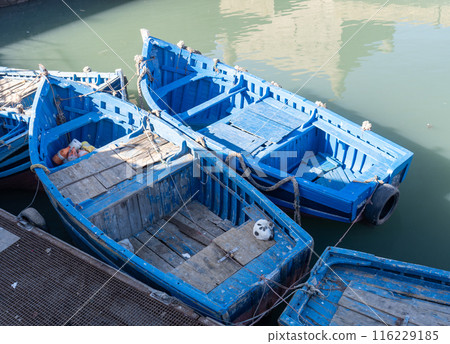 A street cat sleeps in a Moroccan blue boat, Essaouira port with fishing boats 116229185