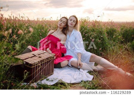 Two Beautiful woman in a field. Nature, fashion, vacation and lifestyle. 116229289