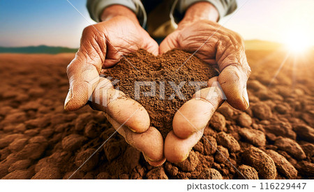 Wrinkled Hands of a Farmer Holding the Fertile Ground in the Shape of Heart - Generative Ai 116229447