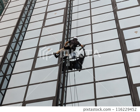 Workers cleaning glass windows of a building Workers cleaning glass windows of a building 116229452