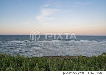 Hitachi Coast as seen from Kobochi Park, Ibaraki 116229580