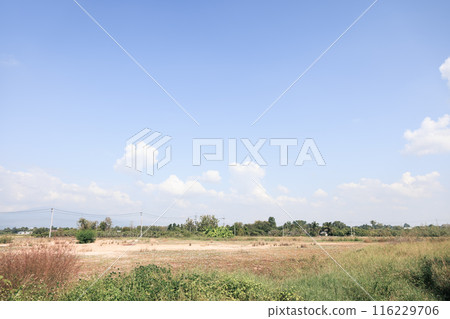 Land, blue sky and clouds for background. 116229706