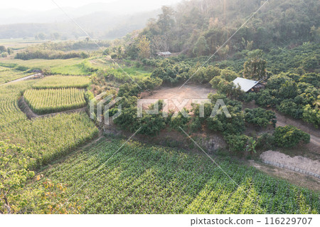 Land and soil backfill in aerial view in in Nan province of Thailand. Land and soil backfill in aerial view in in Nan province of Thailand. 116229707