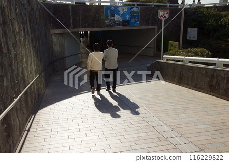 View of Enoshima 116229822