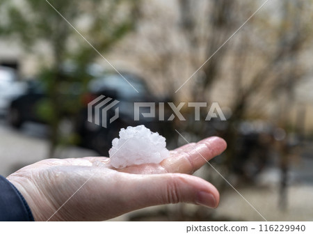Big Hails after Hailstorm, Ice Hail on Street, Large Hailstone Damage, Big Ice Balls, Natural Disaster Big Hails after Hailstorm, Ice Hail on Street, Large Hailstone Damage, Big Ice Balls, Natural Disaster 116229940