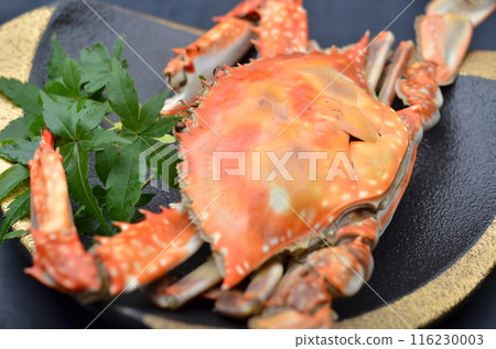 An exquisite dish of fresh and delicious crab An exquisite dish of fresh and delicious crab 116230003