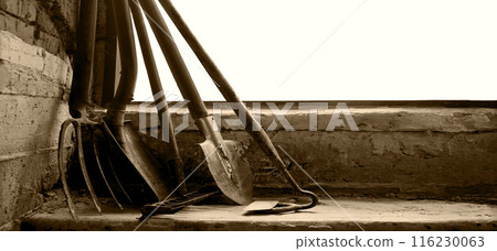 Old tools in the barn 116230063