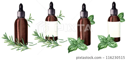 A set of compositions with rosemary, basil and brown glass bottles with dropper for essential, cosmetic oil. Hand drawn watercolor illustration isolated on white. For clip art template label A set of compositions with rosemary, basil and brown glass bottles with dropper for essential, cosmetic oil. Hand drawn watercolor illustration isolated on white. For clip art template label 116230515