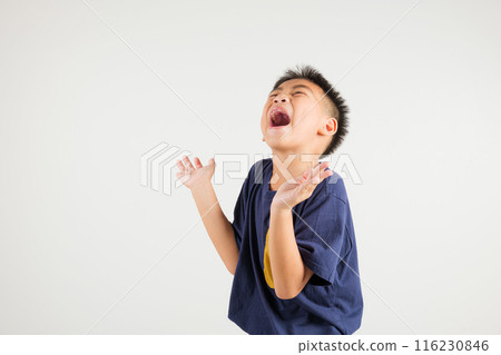 A jubilant kid boy raises her fists in celebration of her success, saying yes with excitement. Asian portrait of a happy young primary child in a studio shot on a white background, winning A jubilant kid boy raises her fists in celebration of her success, saying yes with excitement. Asian portrait of a happy young primary child in a studio shot on a white background, winning 116230846