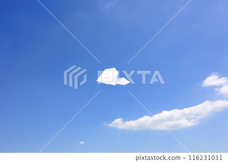 紙飛機在天上飛 116231031