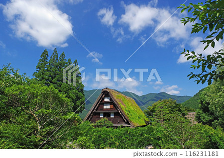 Gero Hot Spring Village 116231181