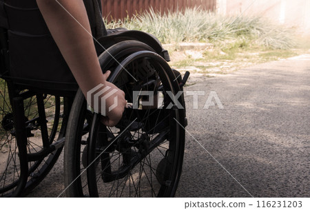 Small boy in the wheelchair Small boy in the wheelchair 116231203
