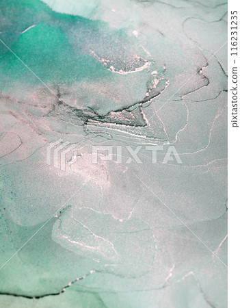 Abstract Green and Silver Ink Swirls Abstract Green and Silver Ink Swirls 116231235