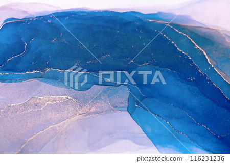 Abstract Blue and Gold Swirls Abstract Blue and Gold Swirls 116231236