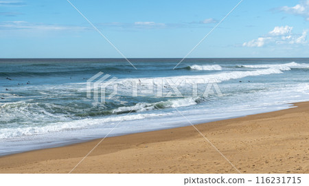 Surfers Sea Waves on Sandy Beach Texture Background, Transparent Ocean Water, Blue Sky, Sunny Shore 116231715