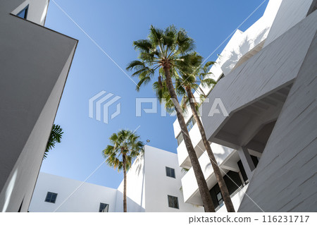 Modern white buildings with palm trees on blue sky background. The clean architectural lines, lush green palms Modern white buildings with palm trees on blue sky background. The clean architectural lines, lush green palms 116231717