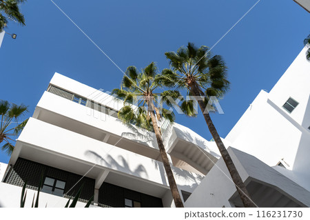 Modern white buildings with palm trees on blue sky background. The clean architectural lines, lush green palms 116231730