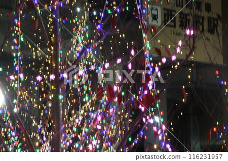 Akashi Nishishinmachi's winter specialty is Nishinarie 116231957