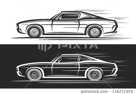 Vector logo for Muscle Car Vector logo for Muscle Car 116231959