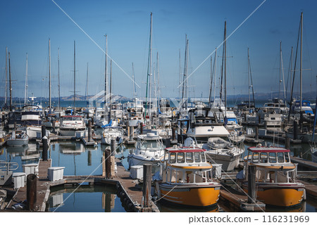 Scenic marina with diverse boats and yachts moored in calm waters. Sailboats with tall masts against clear sky. Bright hulls add color. Likely San Francisco bay location. Tranquil waterfront vibe. 116231969