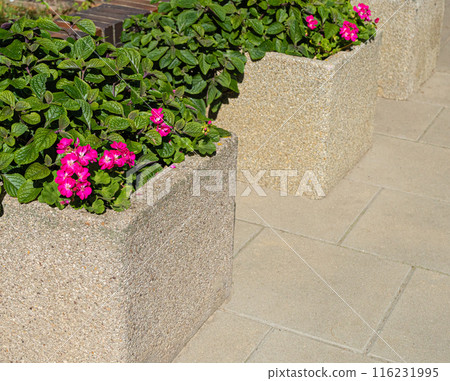 Road Flower Pot, Street Bed, Modern City Floristry, Urban Flowerbeds Design, City Flowers Landscaping Road Flower Pot, Street Bed, Modern City Floristry, Urban Flowerbeds Design, City Flowers Landscaping 116231995