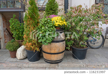 Road Flower Pot, Street Bed, Plant Boxes Modern City Floristry, Urban Flowerbeds Design, City Flowers Landscaping Road Flower Pot, Street Bed, Plant Boxes Modern City Floristry, Urban Flowerbeds Design, City Flowers Landscaping 116231997