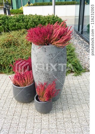 Road Flower Pot, Street Bed, Plant Boxes Modern City Floristry, Urban Flowerbeds Design, City Flowers Landscaping 116232003