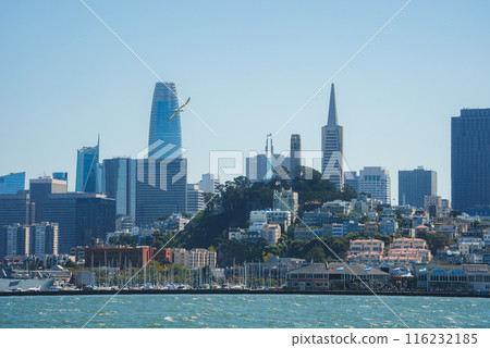 Daytime view of San Francisco skyline from across the water. Modern high rises, traditional buildings, iconic Transamerica Pyramid, calm water, clear sky. 116232185