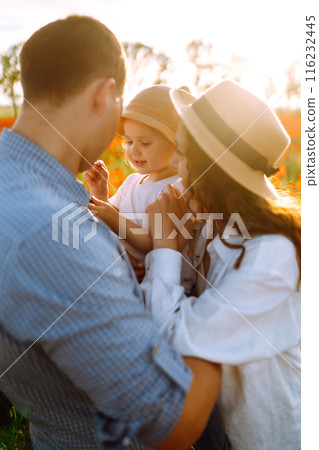 Family with a child walking on a poppy field. Mother, father, little daughter having fun on the poppy field. 116232445