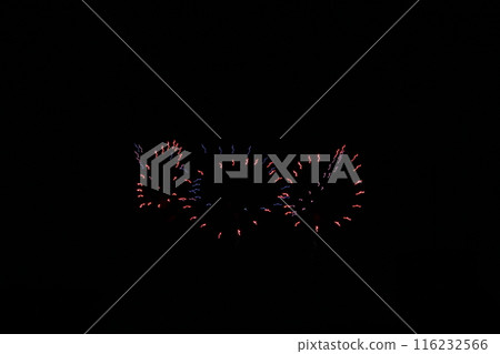 A seasonal feature of summer: Itami Fireworks Festival, Inagawa 116232566