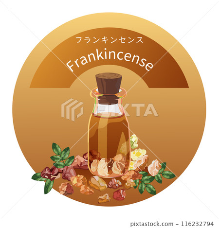 Frankincense and frankincense essential oil bottle, frankincense, aroma, essential oil illustration Frankincense and frankincense essential oil bottle, frankincense, aroma, essential oil illustration 116232794