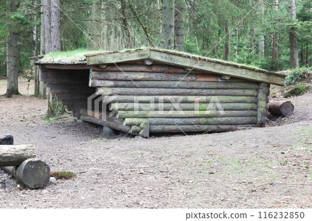 Shelter in a forest in Denmark 116232850