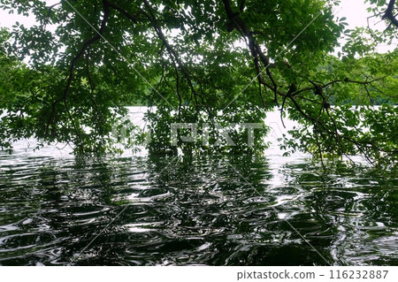 一碧湖雨季風景 116232887