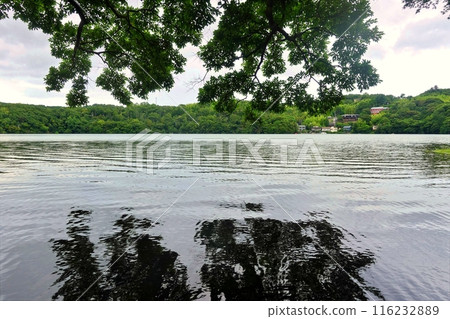 一碧湖雨季風景 116232889