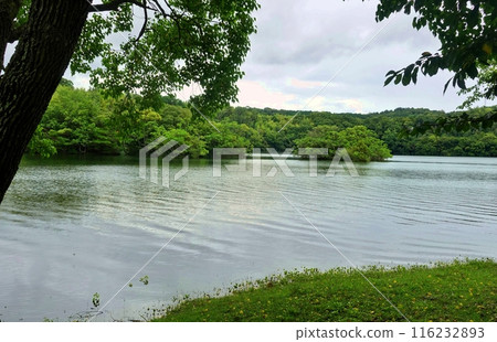 一碧湖雨季風景 116232893