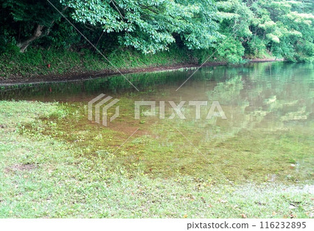 一碧湖雨季風景 一碧湖雨季風景 116232895