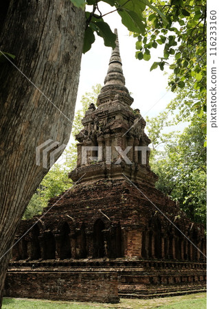 Wat Pa Sak is a Buddhist temple in thailand 116233160