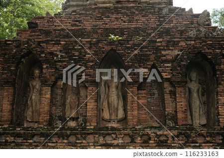 Wat Pa Sak is a Buddhist temple in thailand 116233163