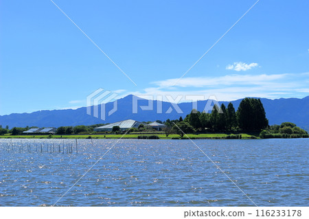 草津市烏丸半島的森林和建築物，背景是比叡山 116233178