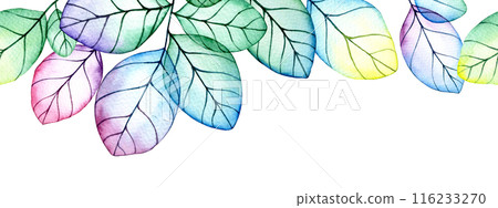 seamless border of transparent leaves. watercolor drawing with bright flowers and leaves 116233270