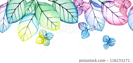 seamless border of transparent hydrangea flowers and leaves. watercolor drawing with bright flowers and leaves 116233271