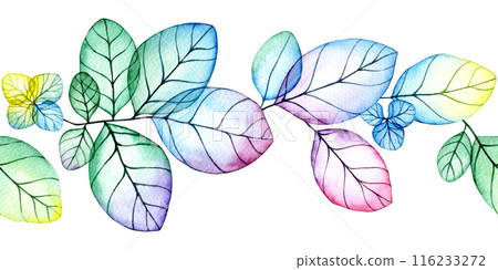 seamless border of transparent hydrangea flowers and leaves. watercolor drawing with bright flowers and leaves seamless border of transparent hydrangea flowers and leaves. watercolor drawing with bright flowers and leaves 116233272