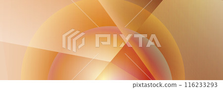 Abstract orange wide background with circles and geometric shapes. Dynamic sphere shapes minimalist composition. 116233293