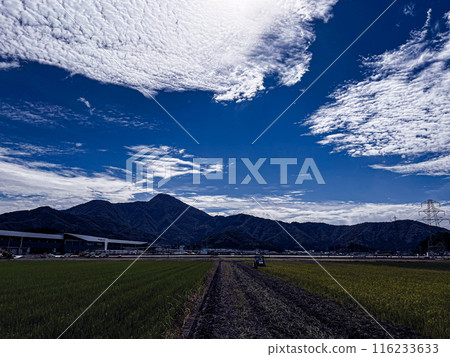 Rice fields, Takefu, Fukui Prefecture Rice fields, Takefu, Fukui Prefecture 116233633