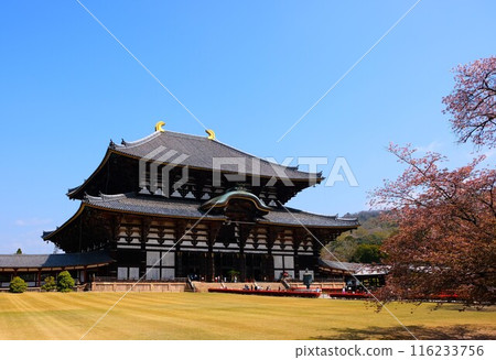 Nara Todaiji Temple of Great Buddha Nara Todaiji Temple of Great Buddha 116233756