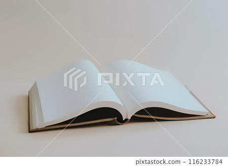 一本空白的書，上面什麼也沒寫 116233784