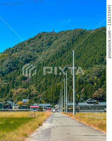 鄉村道路 福井縣 武生 116233845