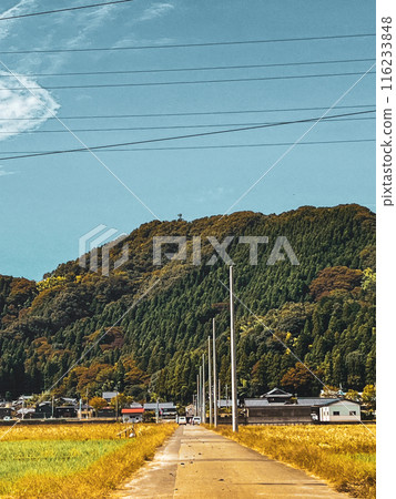 Country Road, Takefu, Fukui Prefecture 116233848
