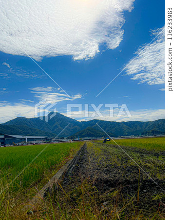 Peaceful countryside scenery in Takefu, Fukui Prefecture Peaceful countryside scenery in Takefu, Fukui Prefecture 116233983