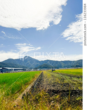Peaceful countryside scenery in Takefu, Fukui Prefecture Peaceful countryside scenery in Takefu, Fukui Prefecture 116233984